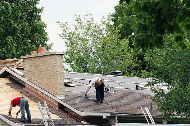 Best Roof Gutter Cleaning  in Lillington, NC